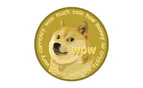 Top cryptocurrency trading platforms in canada. Robinhood Restricts Crypto Trading As Dogecoin Soars 300 Percent The Verge