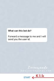 Media sosial memiliki fungsi untuk berkomunikasi satu sama lain. Cara Mendapatkan User Id Telegram Mudah Terbaru