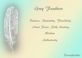 Gray is the color of neutrality, strong protection, and faith. Grey Feathers Feather Magic Feather Meaning Grey Feather Meaning