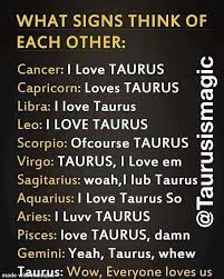 When taurus and cancer fall in love, the unison is generally very beautiful and everlasting. Taurus On Twitter What The Entire Zodiac Thinks About Tauruses
