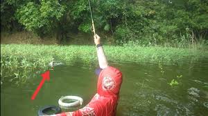 Kangkungan The Potensial Spot Youtube