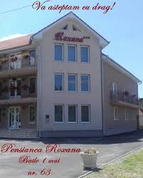 Apartamente cazare oradea, camere cazare oradea. Pensiunea Roxana Home Facebook
