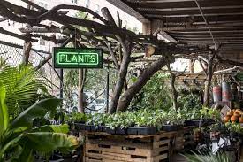 The Urban Garden Center Brings Gardening To Every New Yorker Garden Collage Magazine Urban Garden Garden Center Garden Shop