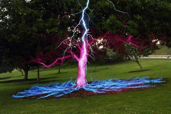 When lightning strikes a tree!