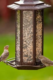 Follow our simple steps for making birdseed cakes they will love! Homemade Bird Seed How To Make Nutritious Low Cost Feed At Home