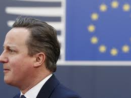 Scale of Tory grassroots divide