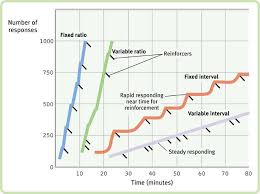 Variable Interval Reinforcement Schedules Graph Google Search Bcaba Exam Graphing Applied Behavior Analysis