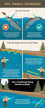 Pin On Fishing Tips And Ideas