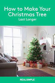 How To Make Your Christmas Tree Last Longer Christmas Tree Live Longer Christmas Tree Care Christmas Tree