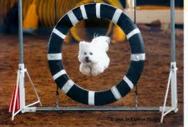 2009 National Specialty May 6-9, 2009