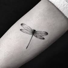 Image Result For Small Dragonfly Tattoo Bug Tattoo Insect Tattoo Dragonfly Tattoo Design