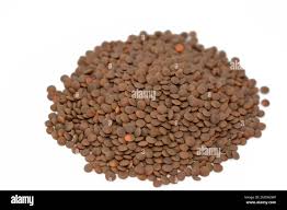 Image result for Lens culinaris