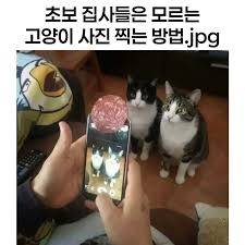 아하 ㅎㅎ ????재밌다면 팔로우????@giggle_8090 #유머 #유머짤 #개그 #웃음 #웃짤