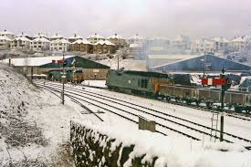 Pin By Gary Harris On Truro District Railways Etc British Rail Train Times Diesel Locomotive