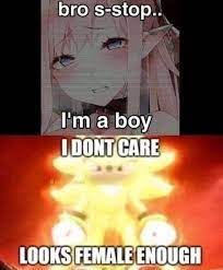 Bro S Stop I M Boy Dontcare Looks Female Enough Meme Video Gifs Bro Meme Stop Meme Im Meme Boy Meme Dontcare Meme Looks Meme Female Meme