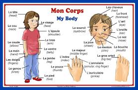 New French Language School Poster Words About Parts Of The Body Wall Chart For Home And Classroom French And English Bilingual Text