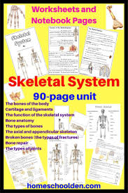 This 90 Page Skeletal System Unit Helps Students Learn About The Bones Of The Body C Skeletal System Unit Skeletal System Activities Skeletal System Worksheet