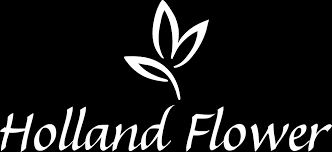 Maybe you would like to learn more about one of these? Home Holland Flower