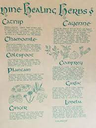 Witch Herbs Healing Herbs Herbal Healing Herbs Magic Herbs Magickal Herbs