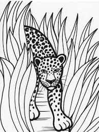 Free printable jungle coloring pages. Rainforest Coloring Pages Coloring Pages For Kids
