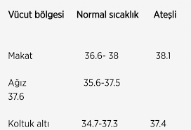 Bebekler Ateslendiginde Ne Yapilmali