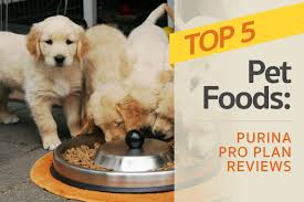 Purina Pro Plan Reviews The Brands Top 5 Pet Foods