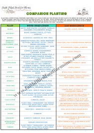 New evidence reveals which vegetables are good to plant together to thrive. Beginners Companion Planting Resources For Easy Gardening Companion Planting Companion Planting Chart Companion Gardening