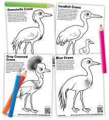 Here you can explore hq sandhill crane transparent illustrations, icons and clipart with filter setting like size, type, color etc. Free Downloadable Coloring Pages Of Different Cranes