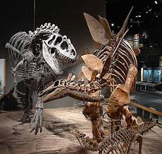 Denver Museum Of Nature And Science Wikipedia