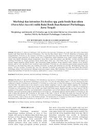 Kali ini akan membahas mengenai pisces (ikan). Https Smujo Id Psnmbi Article Download 3755 2910