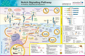 Signaling Wallcharts