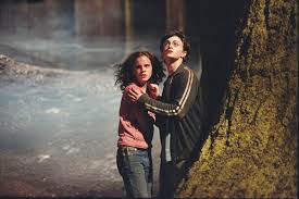 Harry potter and the deathly hallows: Would Harry And Hermione Have Made A Good Couple Wizarding World