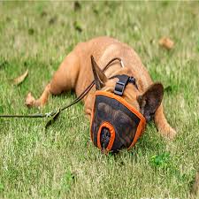 French bulldog basket muzzle is the uk bestseller. Flat Face Dog Muzzle Pugs Bulldogs Boxers Etc