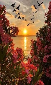 Amazing Winter Sunset Nature Photography Unique Pin By Ivanka Kostova On Sunset P Sunset Photography Nature Amazing Nature Photography Nature Photography Trees