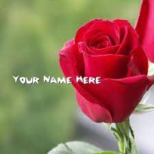 Simple Name Pics Red Rose Picture Rose Pictures Red Rose Pictures Rose