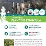 Ayum Creek Plant the Peninsula