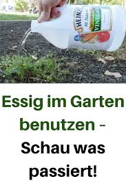 Es kommt dabei zu den typischen symptomen einer. Essig Im Garten Benutzen Schau Was Passiert Essig Garten Benutzen Herb Garden Pots Gardening Tips Amazing Gardens