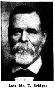 Thomas Bridges (Australian politician)