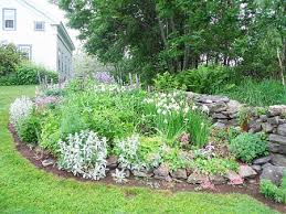 Free Plant Identification Garden Flowers Perennials Plants Perennial Garden