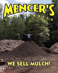 Mencers Tree Service Llc Home Facebook