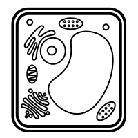 Maybe you would like to learn more about one of these? Plant Cell Icons Download Free Vector Icons Noun Project