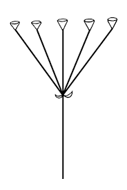 Image result for Ranalisma