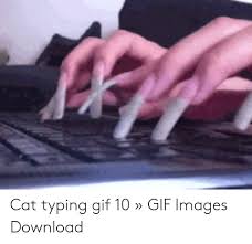 The best gifs are on giphy. 25 Best Memes About Cat Typing Gif Cat Typing Gif Memes
