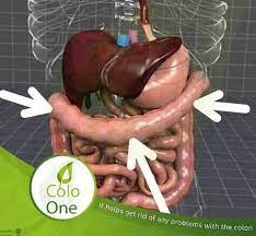 القولون العصبي sausage food colo