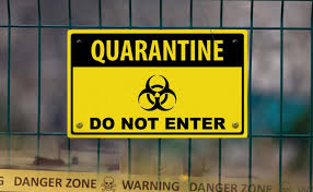 Quarantined Teenager Stuck in the House? 8 Things to Do for ...