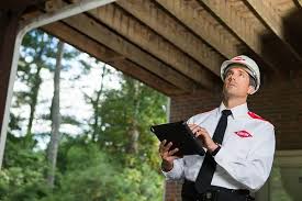 Orkin Review 2020
