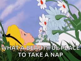 The resolution of this file is 550x503px and its file size is. Spring Good Morning Gif Spring Goodmorning Flowers Discover Share Gifs