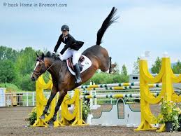Pin On Horses