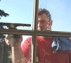 No matter how clean you keep your home and how tidy you keep your yard, you will probably run across roaches, mosquitoes, spiders, ants and other common. Cedar Park Window Cleaning Shine Of Cedar Park