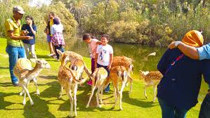 لو هتقضى الويك إند فى إسكندرية 5 أماكن لازم تروحها اليوم السابع